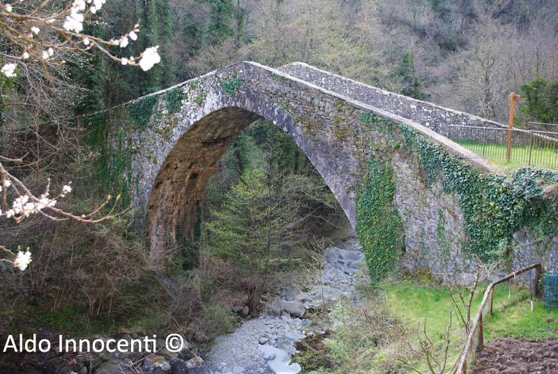 PONTE DEI MULINI: PONTE 15' IMMAGINE